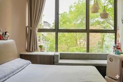 Holland Link (D10), Terrace #522817581